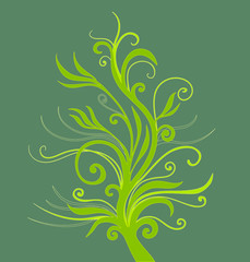 Fototapeta na wymiar young plant ornament green