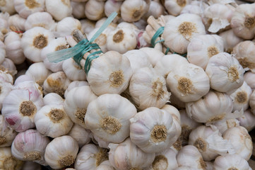Gousses d'ail