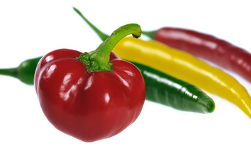 Babypaprika und Chilischoten