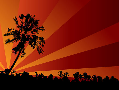 tropical sunset illustration