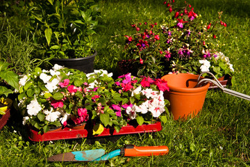 Gärtnern, gardening