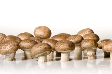 Fototapeta premium Champions wd444