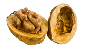 Walnut