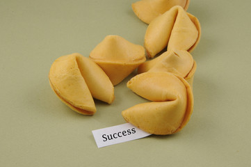 Fortune Cookie