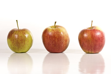 Drei Äpfel wd455
