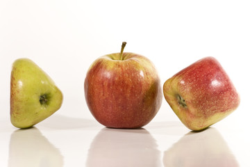 Drei Äpfel wd457