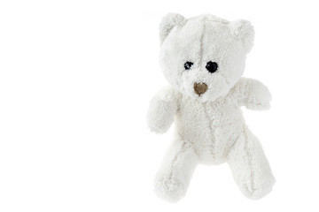 Teddy bear on neutral background