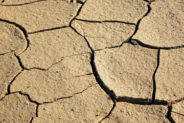 dry earth