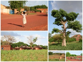 en brousse - Burkina Faso