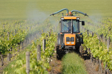 traitement de la vigne