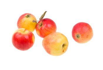 Fresh natural apples isolated on white