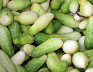 Fresh natural cucumber to background