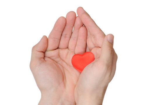 Valentine heart in female hands