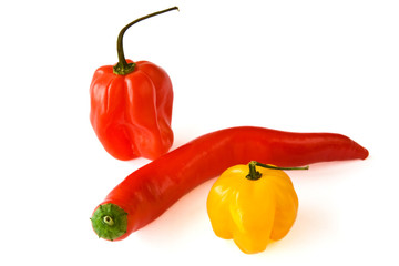 Chilischote und Paprika isoliert auf weißem Hintergrund