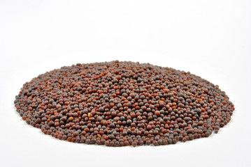 organic mustard seed and a bright background