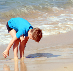Am Meer
