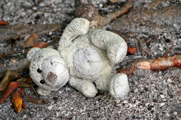 teddy bear