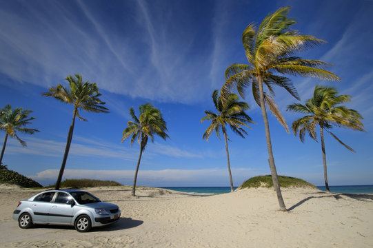 Tropical cuban beach with coconut palm treet and modern car