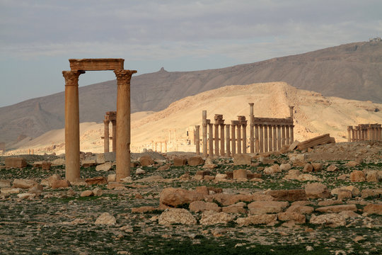 Columns of Palmyra