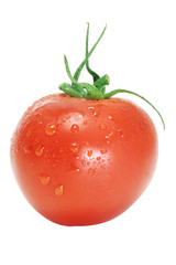 tomato