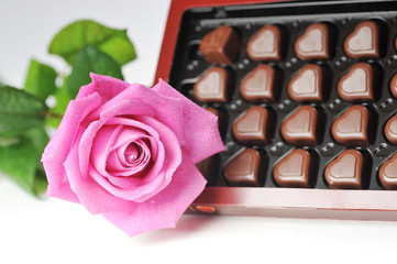 chocolate  and pink rose