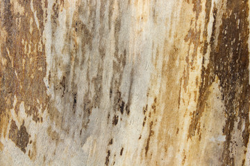 Wood textured background