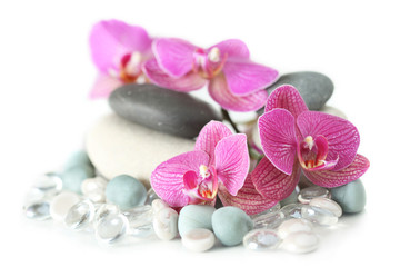 Orchid laying on stones