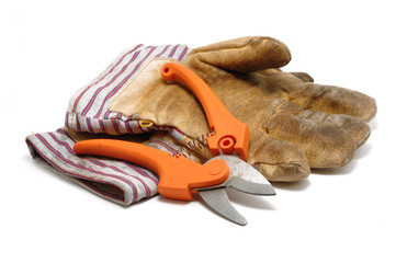 Pruning Shears and Leather Gloves