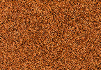 Buckwheat