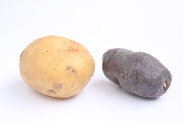 Vitelotte and potato