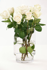Weiße Rosen in Glasvase