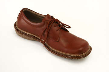 shoe
