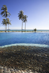 Swimming pool and palm trees. © Stephane BENITO