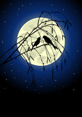 Two birds sitiing on the tree. Starry night.