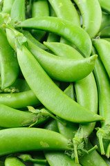 Sugar snap peas