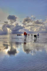Im Watt © Frederico di Campo