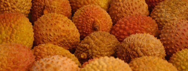 Litchi