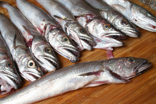 pescado