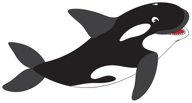 Касатка рисунок для детей