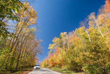 Fototapeta premium White car on an unpaved dirt road in a vibrant autumn forest