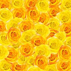 Beautiful background from yellow and orange roses