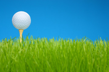 Golf ball on tee in grass closeup