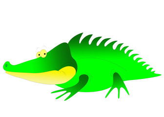 crocodile