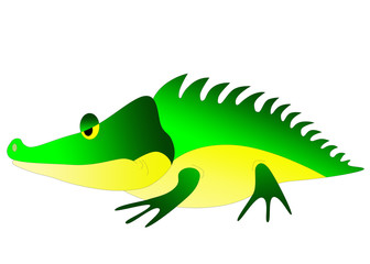 crocodile