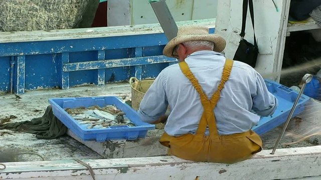 PESCADOR RECOGIENDO LOS PECES DE LAS REDES