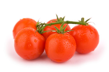 Tomaten isoliert auf weißem Hintergrund