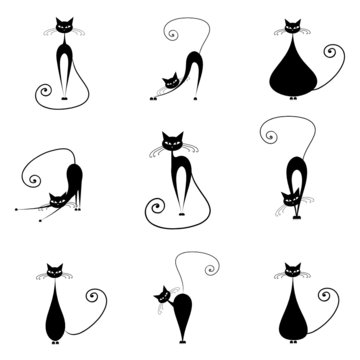 Black cats silhouette for your design
