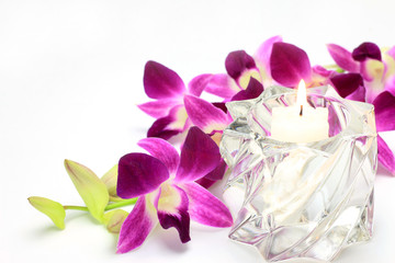 candle and orchid