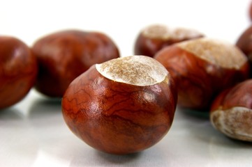IMG_1824_chestnut11.jpg