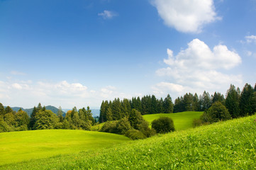 Sommergrüne Naturlandschaft in Süddeutschland